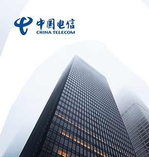 China Telecom Case